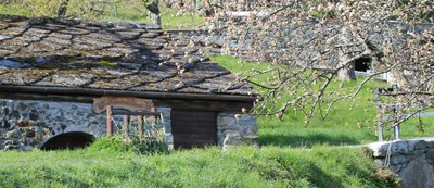 traditional hut with blossoming apple tree